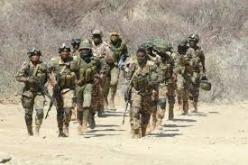 Ndf is listed in the world's largest and most authoritative dictionary database of abbreviations and acronyms. Ndf Tests Readiness Informante