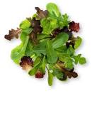 Image result for is spring mix good for you