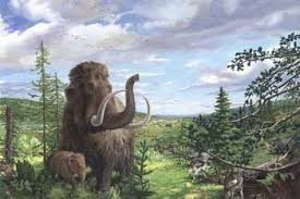 Learn more about mastodons in this article. Mammut Museum Niederwenigen Aktivitaten Freizeit Ch