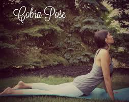 Cobra Pose Yoga Ubungen Yoga Rucken Yoga Fitness
