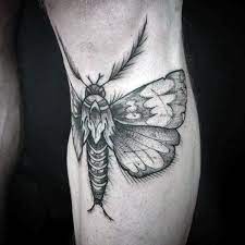 Below The Knee Mens Moth Tattoos Moth Tattoo Tattoos Tattoos For Guys