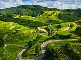 Klik disini untuk download gambar pemandangan. Download Pemandangan Indah
