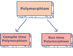 polymorphism image