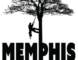 Please try again later, or report it to our customer service team. Tree Defects Included Bark Tree Service Memphis