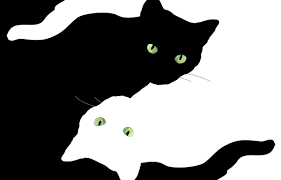 Pin By Eve On Cats Dark Aesthetic Aesthetic Desktop Wallpaper Wallpaper