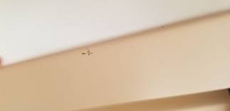 We did not find results for: Tallon Construction Co 25407 Van Born Rd Taylor Mi Roofing Mapquest