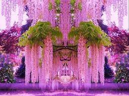 Resultado de imagem para belos jardins floridos