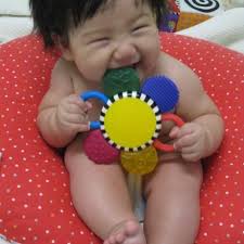 Comparison of Crown Victoria and Tahoe as Police Vehicles