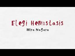 All lowercase letters are placed to receive a connecting tail from disforia inersia. Kumpulan Puisi Wira Nagara Pdf Sajak Dan Puisi
