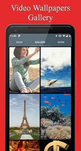 Create amazing live wallpapers from your favourite videos. Any Video Live Wallpaper For Android Apk Download