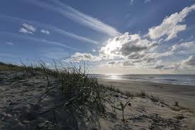 Choose from more than 500 properties, ideal house rentals for … Nordholland Bloemendaal Aan Zee Foto Bild Landschaft Meer Strand Dunen Bilder Auf Fotocommunity