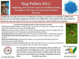 Though he is more effective, but improper use can burn the mucous membranes of the mouth; Irish Wildlife Trust Alert From Hedgehog Rescue Dublin And The Hogsprickle About The Hazards Of Using Slug Pellets Facebook