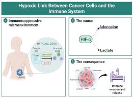 OR | Free Full-Text | Hypoxic link between cancer cells and ...