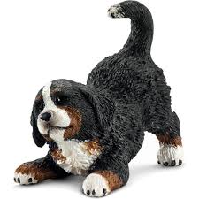 Bernese Mountain Dog Black Brown And White Dog Breeds Bernese Mountain Dog Puppy 1 75 Bernese Mountain Dog Puppy Miniature Bernese Mountain Dog Bernese Mountain Dog