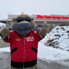 It is celebrated every year on february 2. Hyseg9gz1sbnm