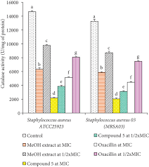 Image result for Trifolium baccarinii