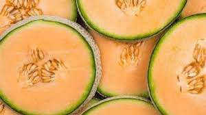 Its flesh is very sweet, tender and pale orange in color. Cantaloupe Muskmelon In The Garden Usu