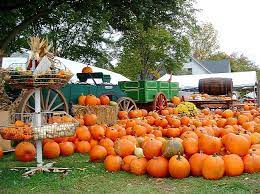 Parke County Fall Festival Indiana Indiana Covered Bridges Fall