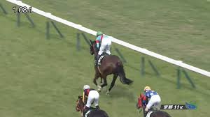 葵ステークス2021 葵s2021 中京競馬場芝1200m 日程：2021.5.29 賞金順出走可能頭数：18頭 è'µã‚¹ãƒ†ãƒ¼ã‚¯ã‚¹2021 å‡ºèµ°äºˆå®šé¦¬ äºˆæƒ³ã‚ªãƒƒã‚º é¨Žæ‰‹ æœªæ¥ã®ã‚¹ãƒ—ãƒªãƒ³ã‚¿ãƒ¼å€™è£œãŸã¡
