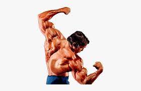 Arnold had, perhaps, the best most muscular of his day but is there another bodybuilder who brought the most. Arnold Schwarzenegger Bodybuilding Png Images Arnold Schwarzenegger Best Pose Transparent Png Transparent Png Image Pngitem