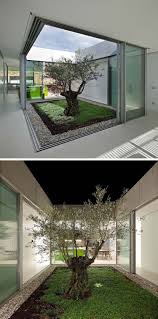 Olivenbaum Im Garten Mitten Im Haus Lovetheseinteriorplanningtipsandideas Maison Avec Patio Bungalow Moderne Maison Atrium