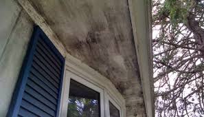 Higher plant biodiversity may help discourage the use of pesticides, reveals study.) however, van oers acknowledged that the technology is still new. Mold On Exterior Of Homes Removal Damage Health Issues