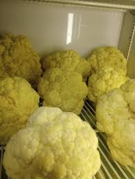 Snowy Range Flea Market added...