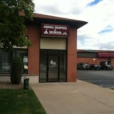 Our vets care about your animals. Animal Hospital Of Rochester 15 Reviews Veterinarians 1150 University Ave Rochester Ny Phone Number Yelp