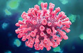 Pin On Corona Virus Aka Covid 19
