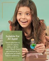 Amazon.com : Venus Fly Trap, Grow Your Own Venus Flytrap in a 100% Self  Sustaining Glass Terrarium, Maintenance Free, Easy to Grow, Healthy Growth  Guarantee : Patio, Lawn & Garden