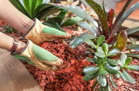 Some types of mulch have the added benefit of repelling bugs. Cedar Mulch Pros And Cons Designing Idea