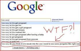 20 wtf google search suggestions funny google searches funny google searches results funny quotes