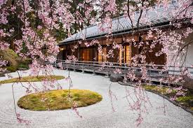 Cherry Blossoms of Portland Japanese Garden are a Must-See Sight for Spring  – Portland Japanese Garden