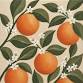 Sunlit Citrus Canvas Workshop