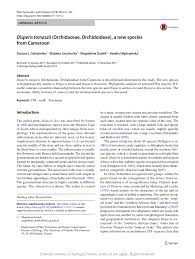 Image result for Disperis dicerochila