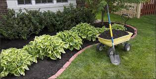 What are the best low maintenance house plants? How To Create A Low Maintenance Garden Gardening Tips