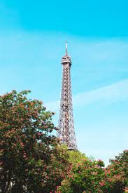 We did not find results for: France Paris Eiffel Tower Among The Flowering Trees In A Sunny Day With Blue Sky Stockphoto