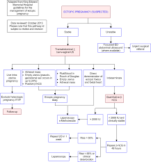 Ectopic Pregnancy Suspected