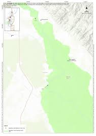 Image result for Megalochlamys hamata