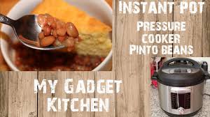 Add pinto beans, ham hock, and kosher salt to the pot. Instant Pot Pressure Pinto Beans With Smoked Ham Hocks My Gadget Kitchen 176 Youtube