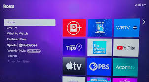 Stream Smarter: Advanced Roku Tips and Tricks - Tipmont