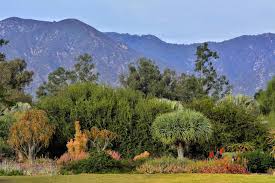 Los angeles—and california as a whole—is a pretty amazing place, botanically speaking. Los Angeles County Arboretum Botanic Garden Home Facebook