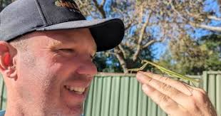 Echidna sex-trains point to firm population numbers in Gungahlin sanctuary 