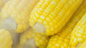 Untuk mendapatkan rasa jagung yang enak memang paling baik adalah memilih jenis jagung manis. Tips Merebus Jagung Supaya Empuk Dan Juicy Kumparan Com
