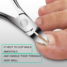 What kind of nail clipper should i use? Nail Clippers Toenail Clippers For Thick Nails For Seniors With Curve Ninthavenue United Arab Emirates