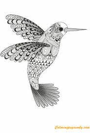 Hummingbird pattern coloring page for adults. Beauty Of Hummingbird Coloring Pages Hard Coloring Pages Coloring Pages For Kids And Adults