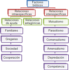 Resultado de imagen para relaciones especificas e interespecificas guias