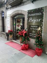 Floristería Béjar