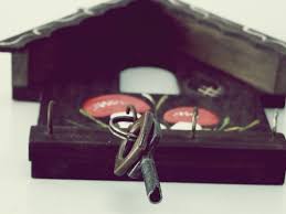 Marina Beatriz Vasco