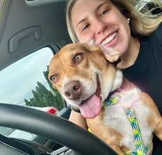 Summertime 🐶+☀️=🧡